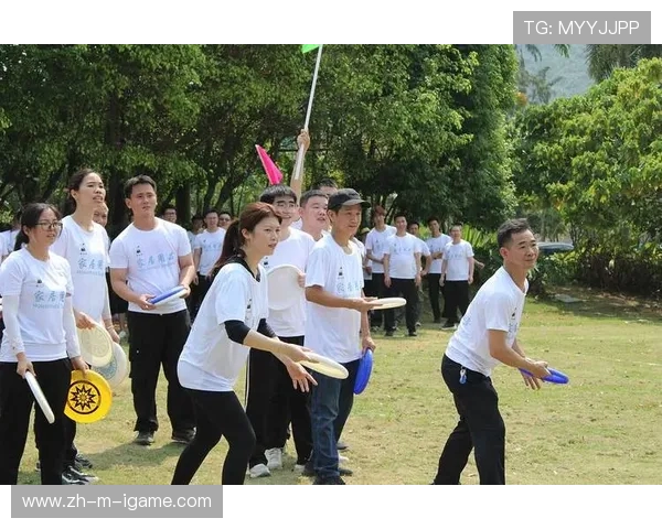 飞盘战术揭秘：深圳飞盘队的进攻策略与团队协作分析